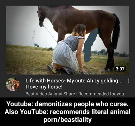 Horse porn. Free bestiality porn videos with a huge kind of。